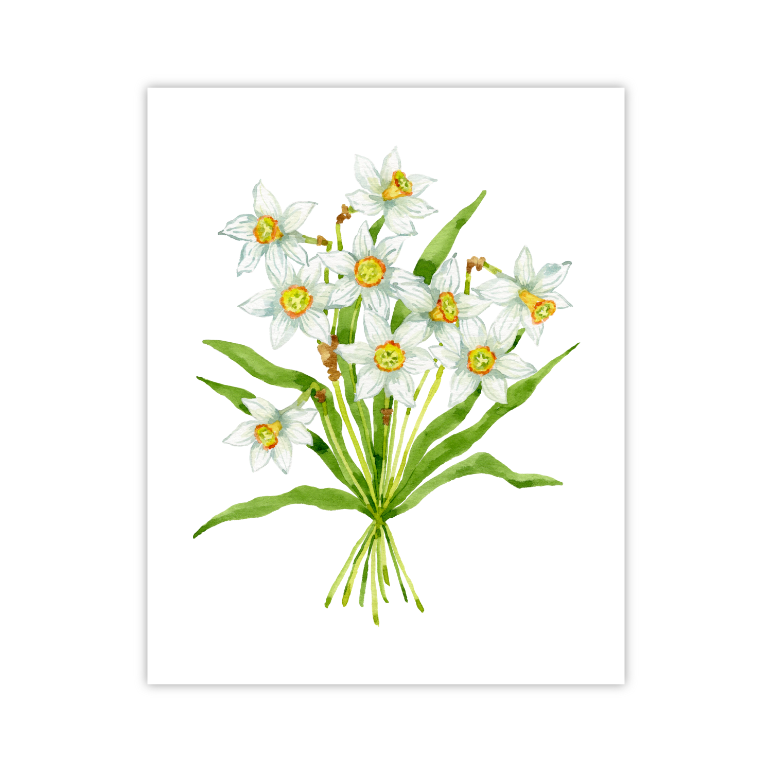 Daffodils Print | Botanical Bouquets