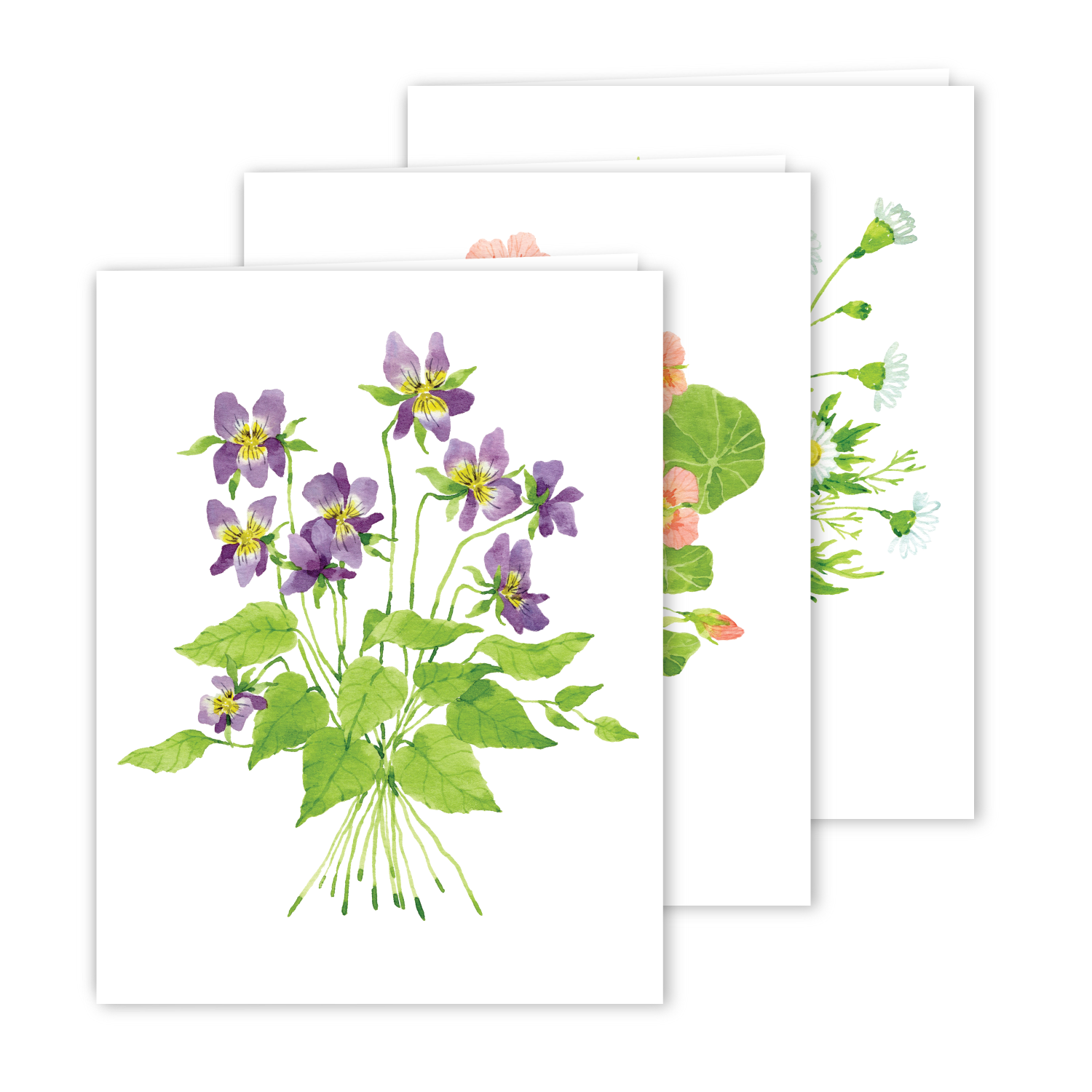 Assorted Card Set | Botanical Bouquets