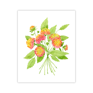 Lantanas Print | Botanical Bouquets