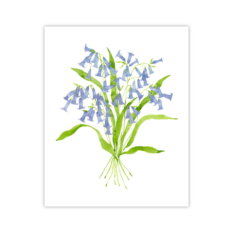 Blue Bells Print | Botanical Bouquets