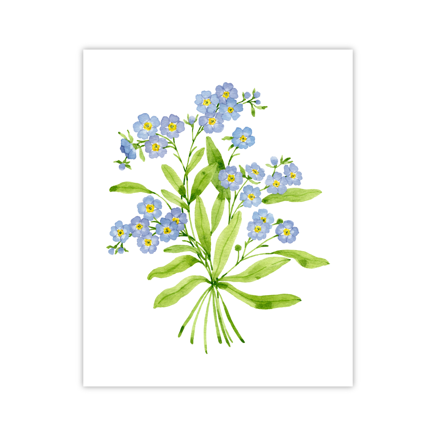 Forget Me Nots Print | Botanical Bouquets