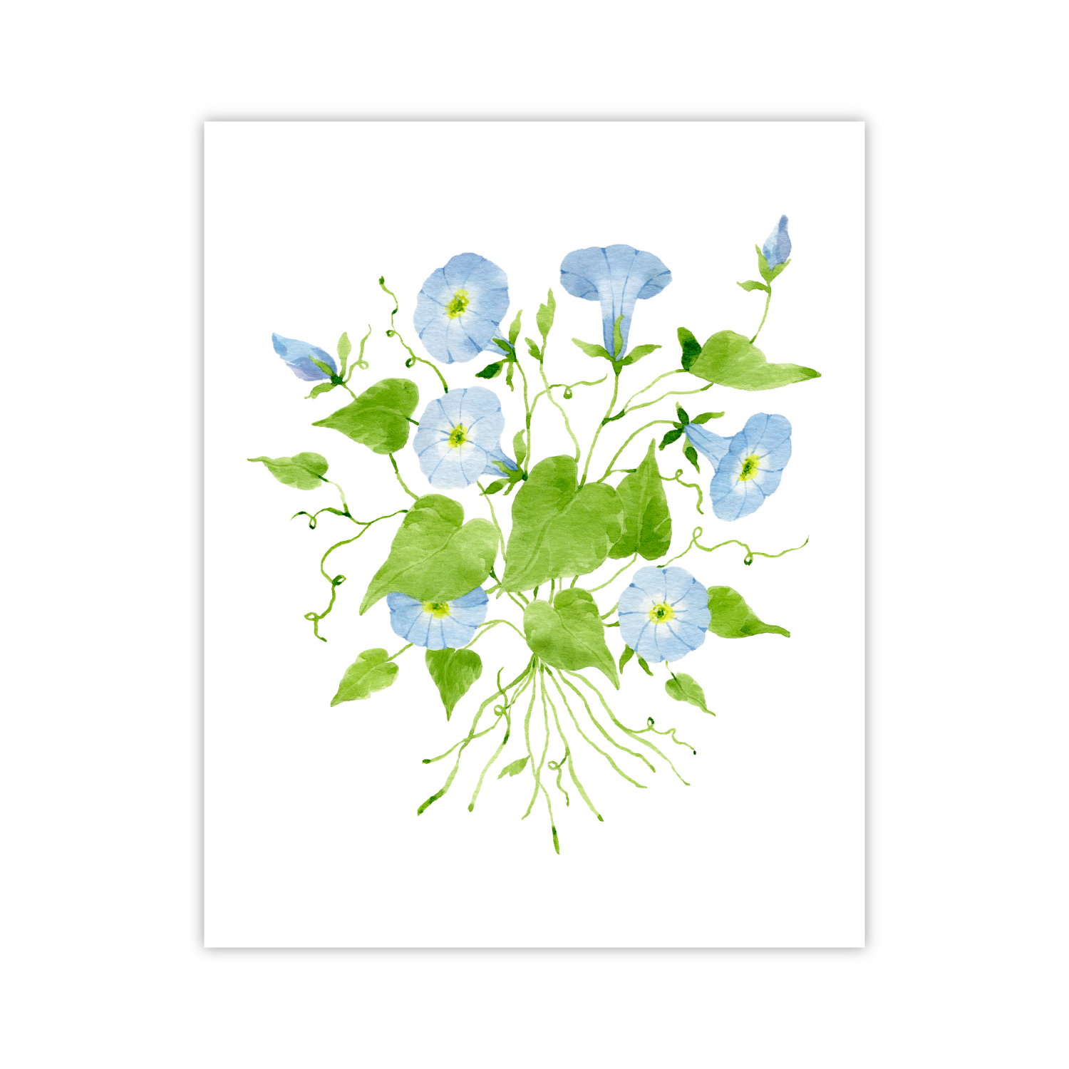 Morning Glory Print | Botanical Bouquets