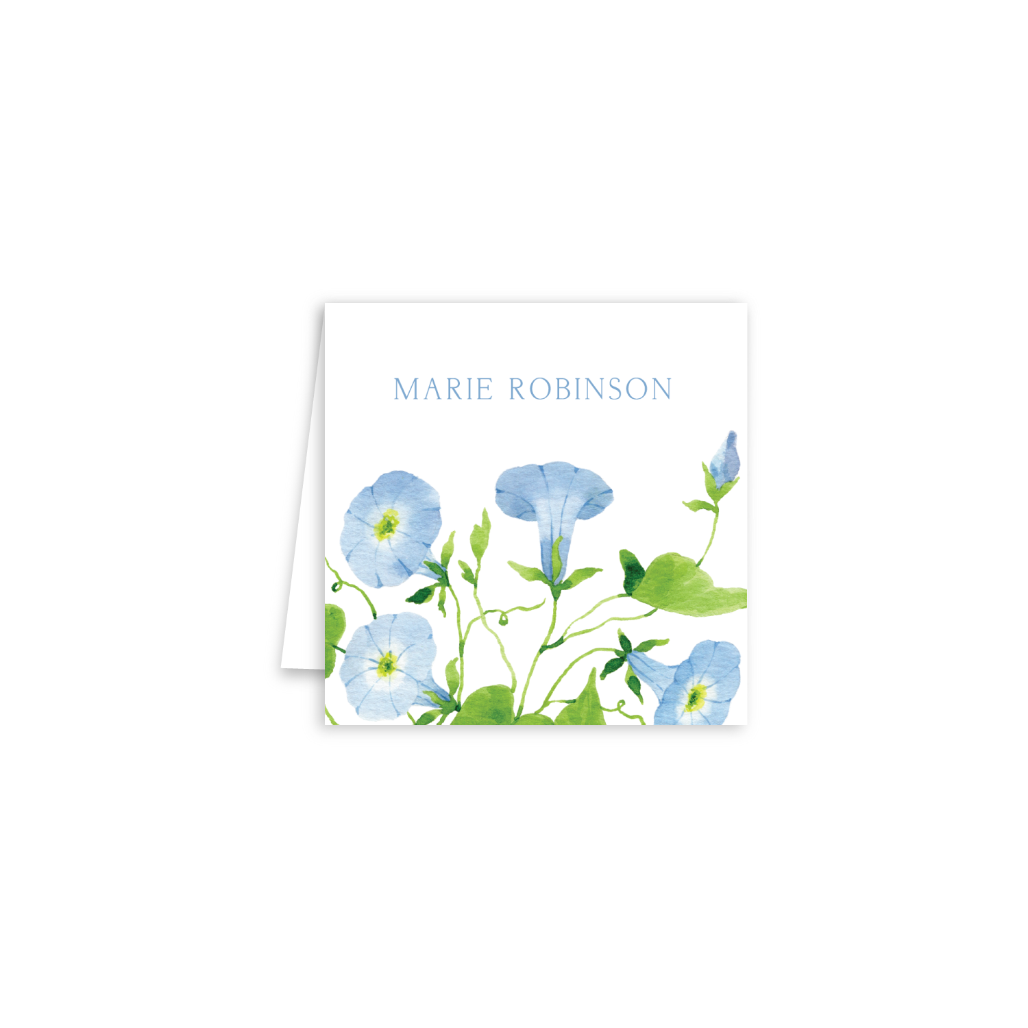 Morning Glory Enclosure Cards | Botanical Bouquets