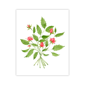 Roses Print | Botanical Bouquets