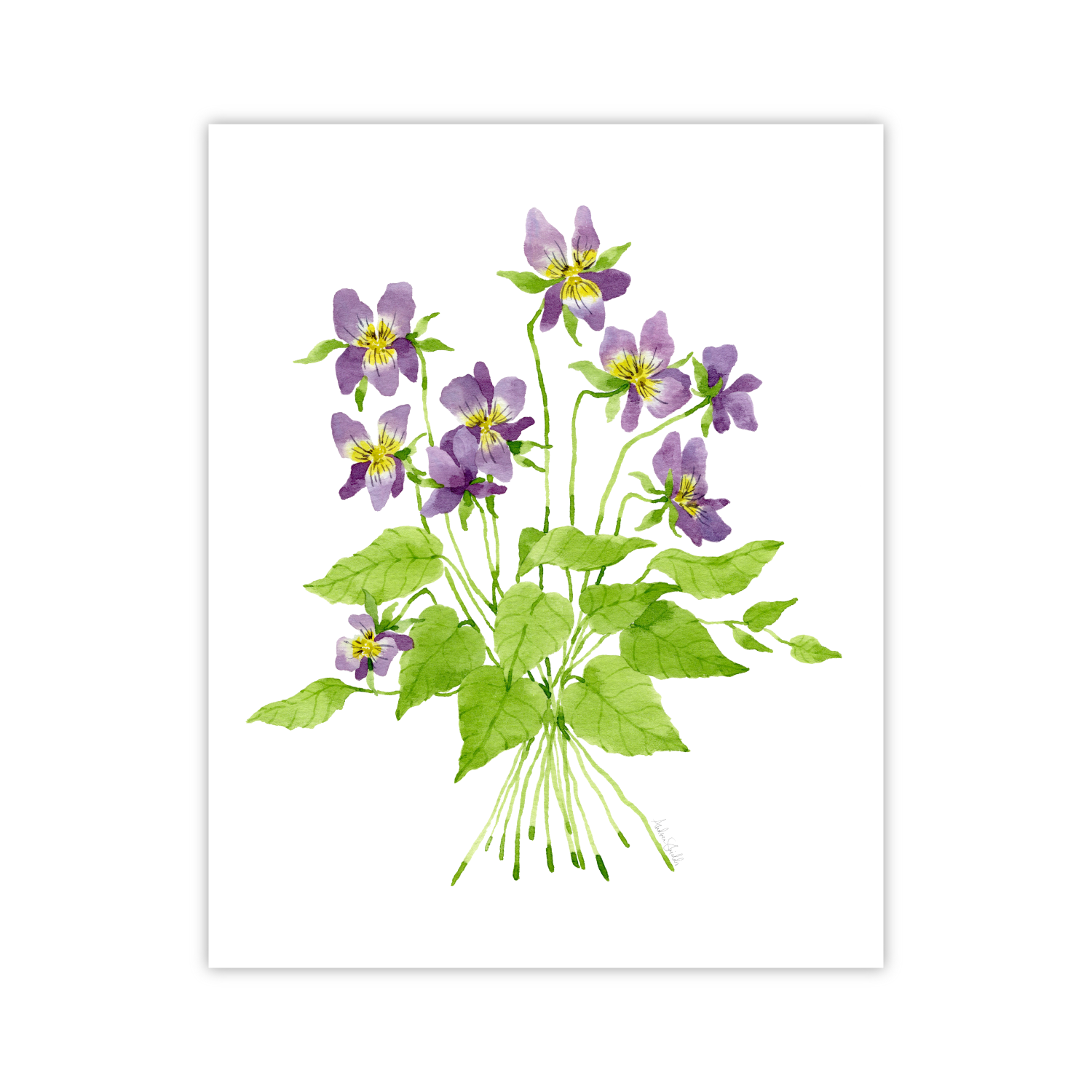 Violets Print | Botanical Bouquets
